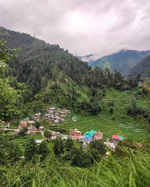 Environment & Conservation