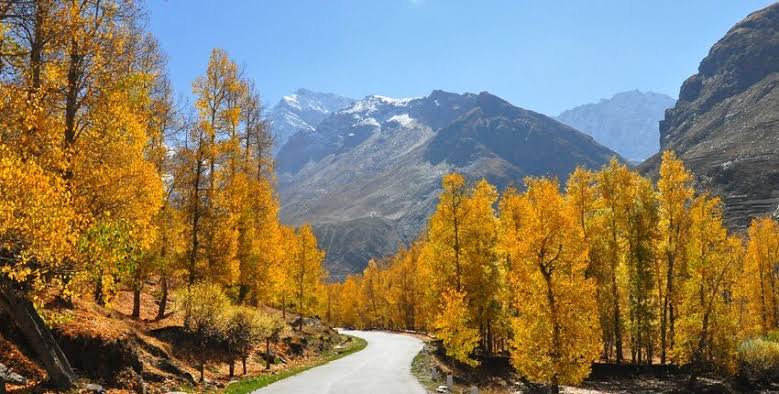 Shimla Complete Travel Guide